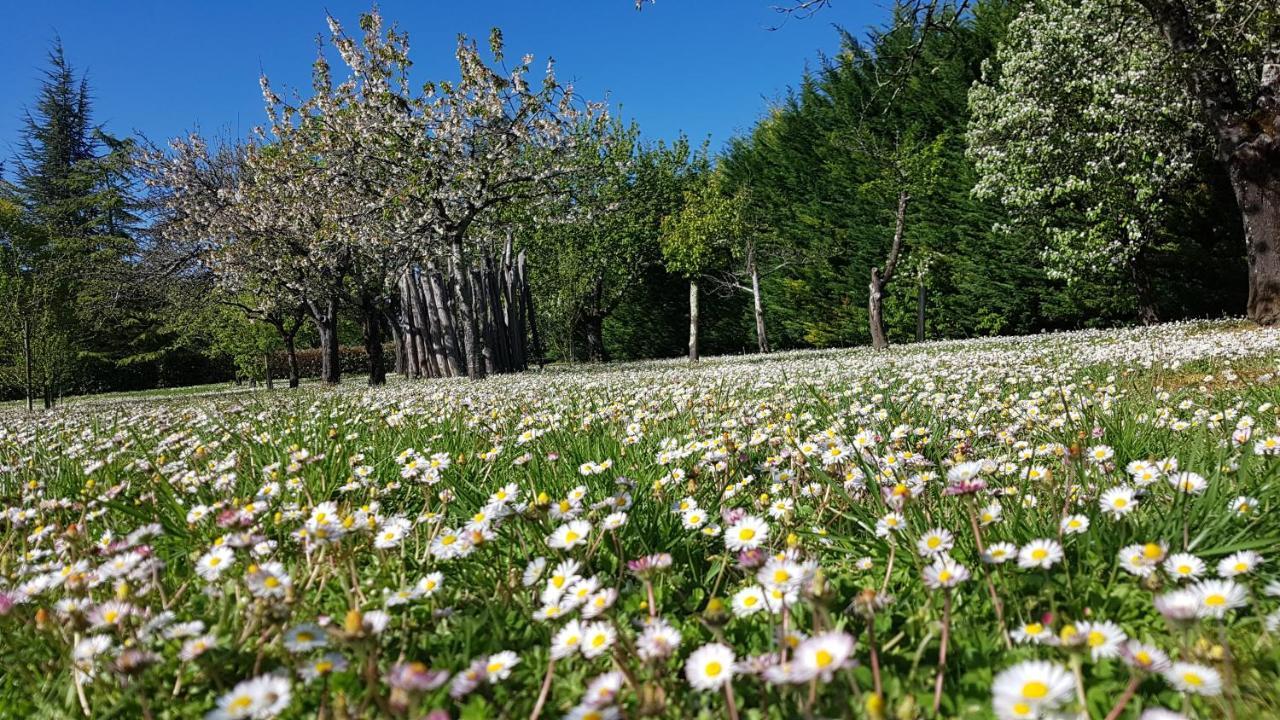 Moncrabeau Chambres D'Hotes Domaine De La Brette المظهر الخارجي الصورة